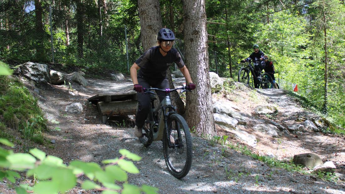 Biker auf einem Waldtrail mit Wurzeln und Steinen